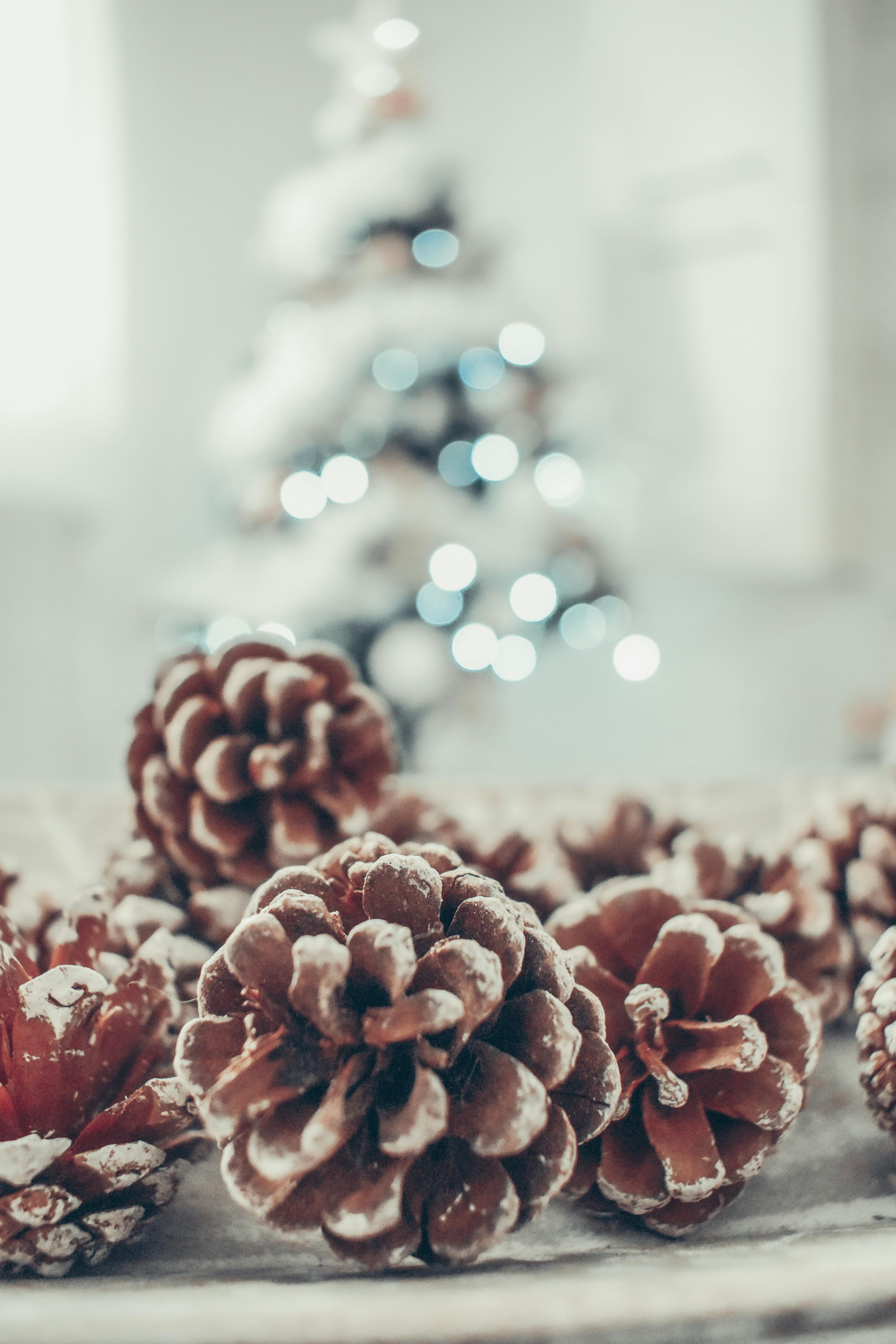 5 Astuces pour un Noël serein : Préparez-vous en toute Harmonie !